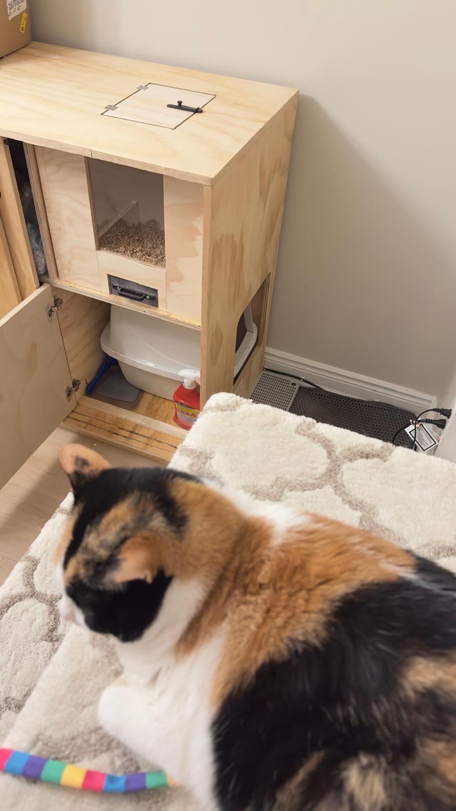 Cat Litter Cabinet with Built-In Litter Dispenser 🐾